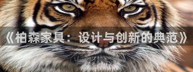 欧星娱乐棋牌怎么样