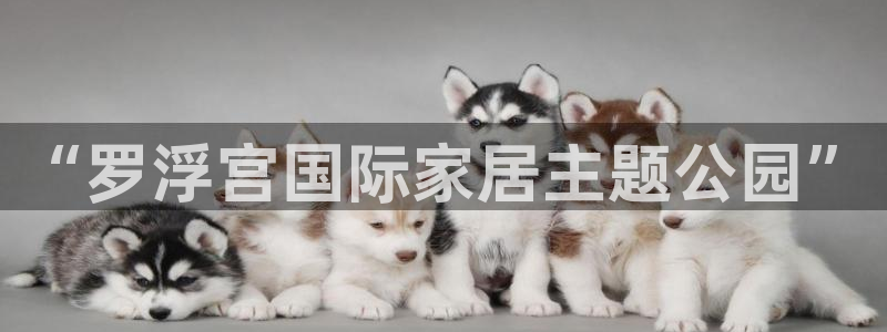 欧星老虎机娱乐
