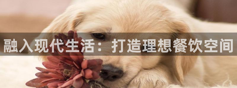 欧星娱乐安全吗