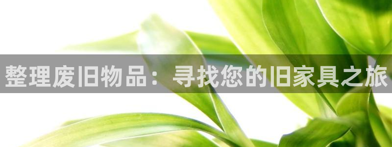 欧星科技娱乐公司