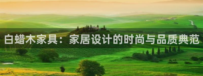星辉娱乐进入欧联杯