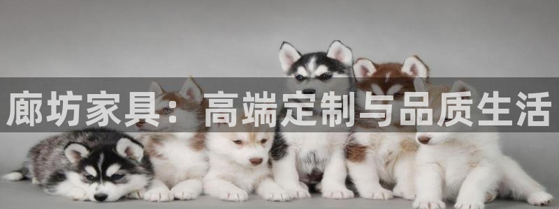 欧星在线娱乐