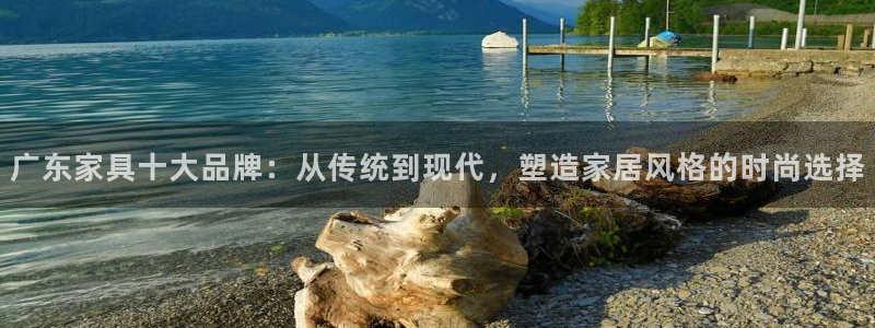 欧星娱乐主播：广东家具十大品牌：从传统到现代，塑造家居风格的