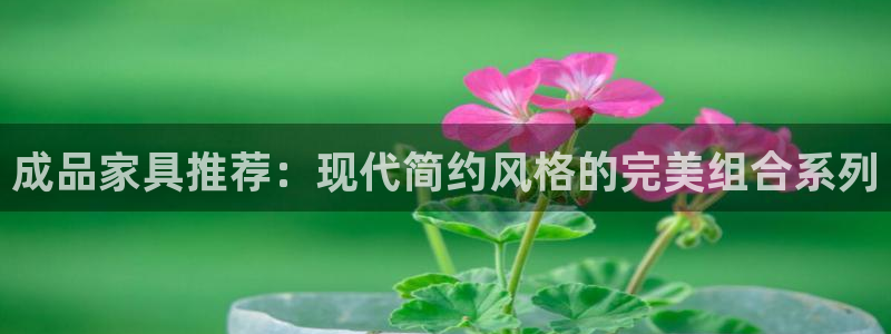星欧娱乐是什么