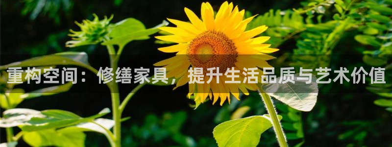 星欧娱乐改名后叫什么