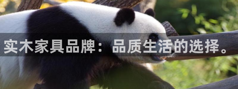 欧星线上娱乐