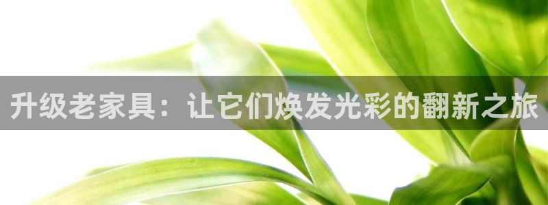 欧星娱乐08