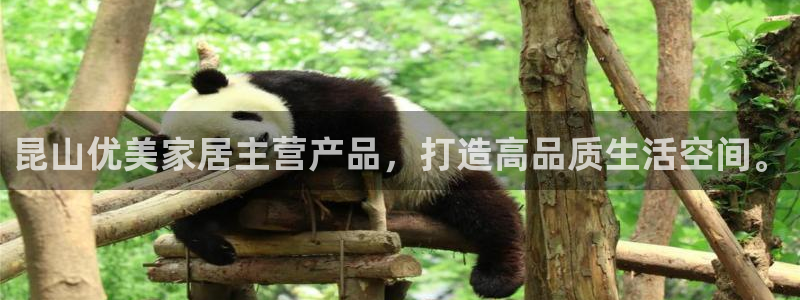 星欧娱乐平台是什么