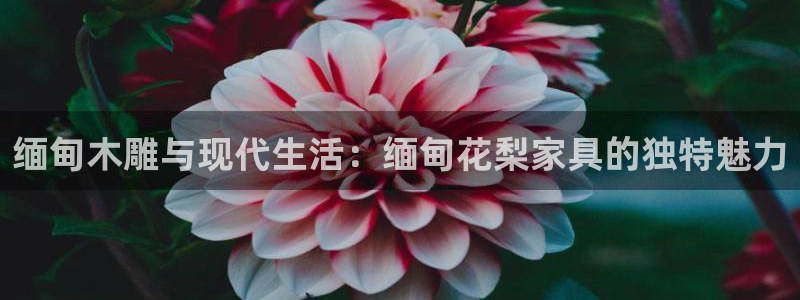 星欧娱乐是正规平台吗