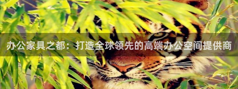星欧娱乐负责人