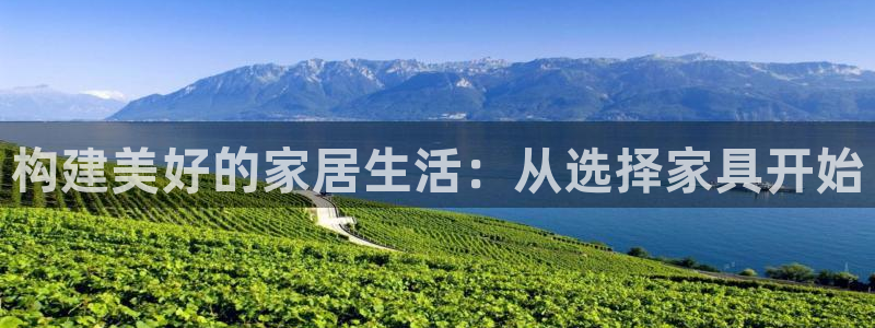 星娱乐online欧弟