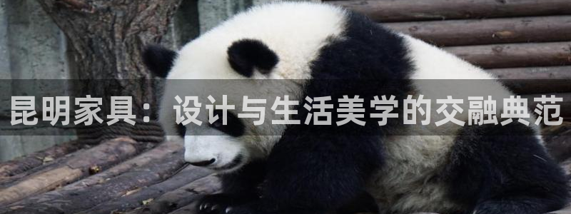 星欧娱乐最新活动