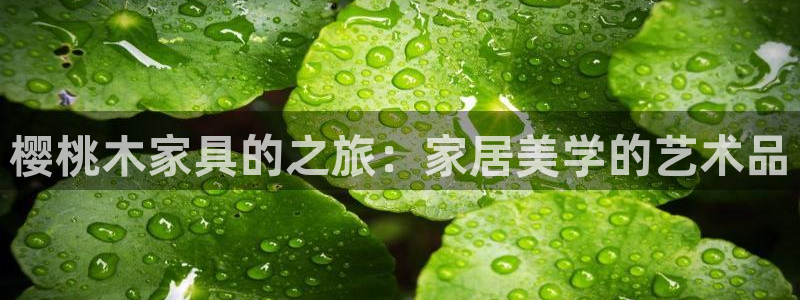 星欧娱乐官网客服电话号码