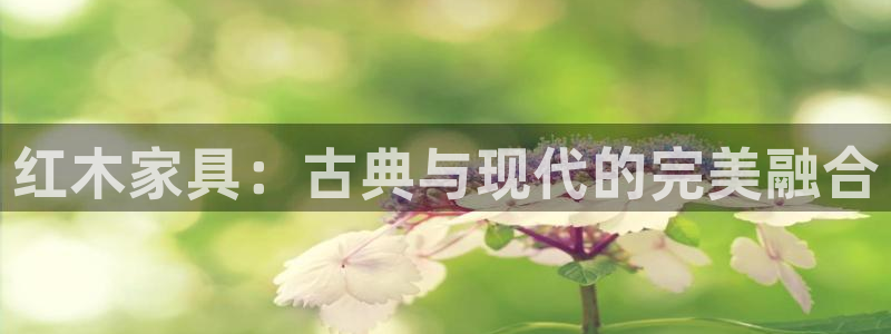 星欧娱乐是什么