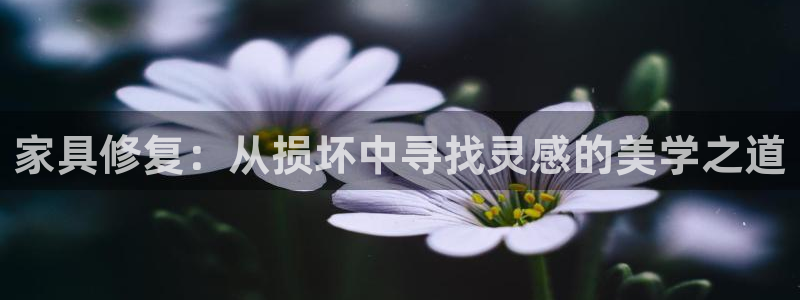 欧星国际娱乐