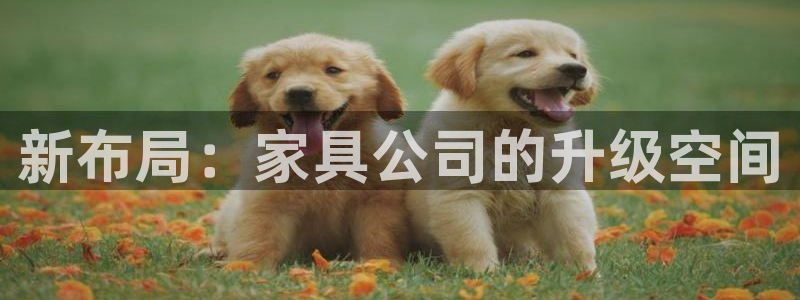 星欧娱乐的创始人背景