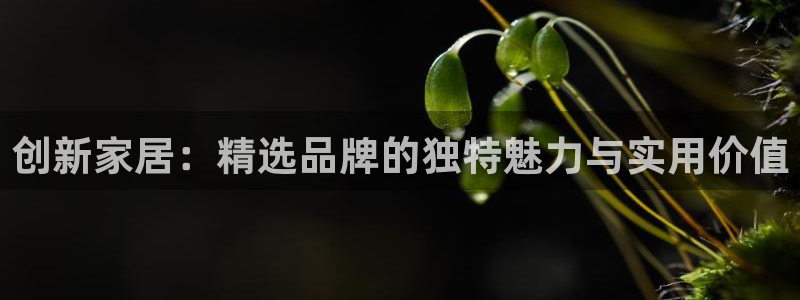 星欧娱乐平台