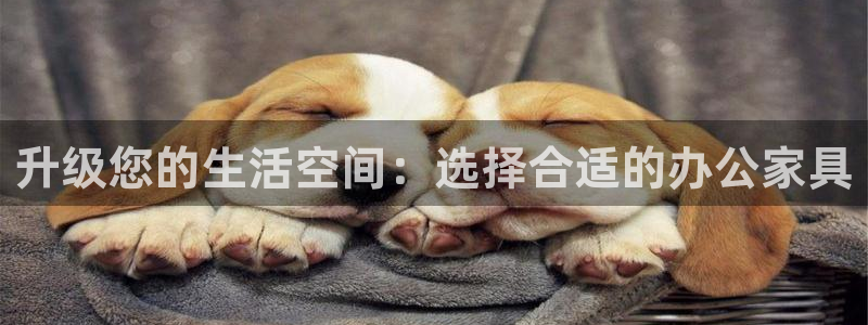 星欧娱乐606251