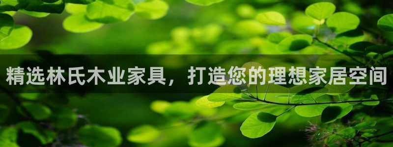 欧乐星城团购娱乐怎么样