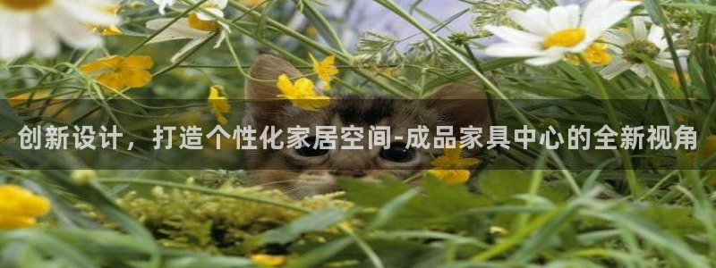 星欧娱乐的官方网站