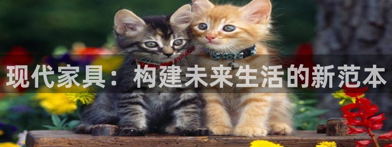 欧星娱乐网址