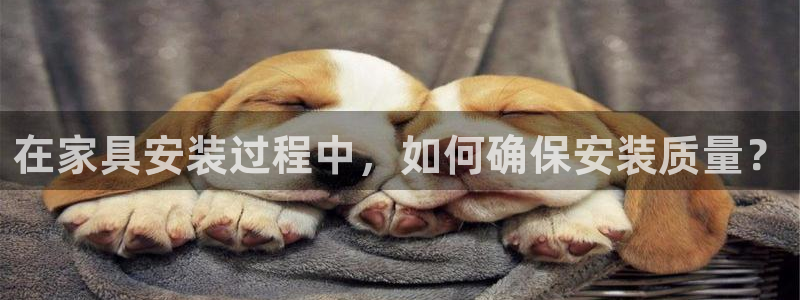 欧星娱乐的活动