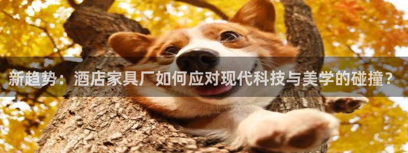 星娱乐online欧豪