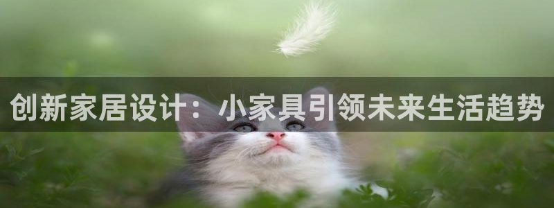 星欧娱乐的安装方法及注意事项：创新家居设计：小家具引领未来生