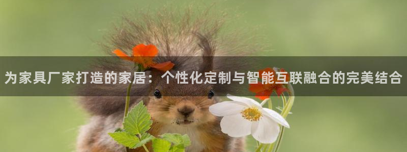 欧星娱乐网址