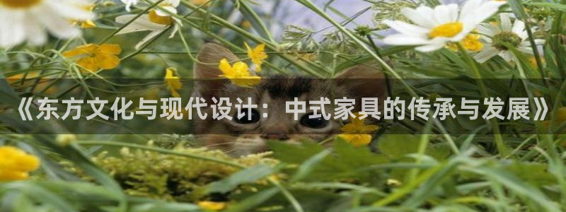 欧星娱乐是做什么的