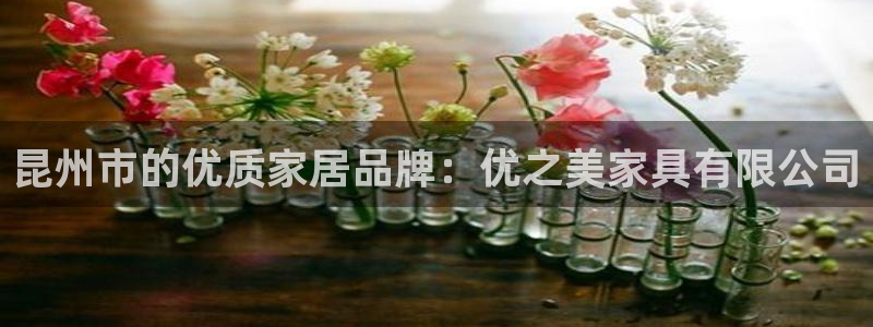 星欧娱乐官方网站客服