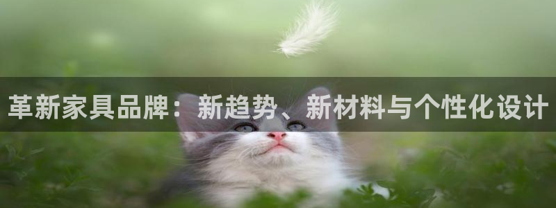 澳门欧星娱乐