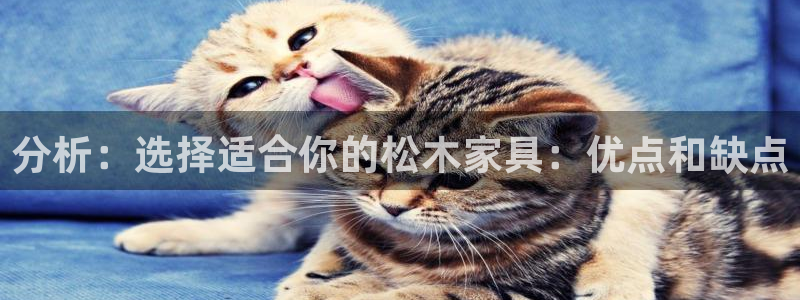 星欧娱乐注册客服电话