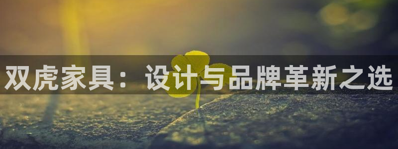 欧星娱乐网址接受