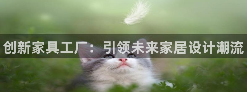 注册星欧娱乐需要多少钱