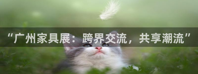 星欧娱乐登录后怎么登录