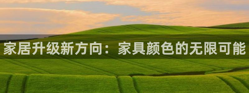 星辉娱乐进入欧联杯