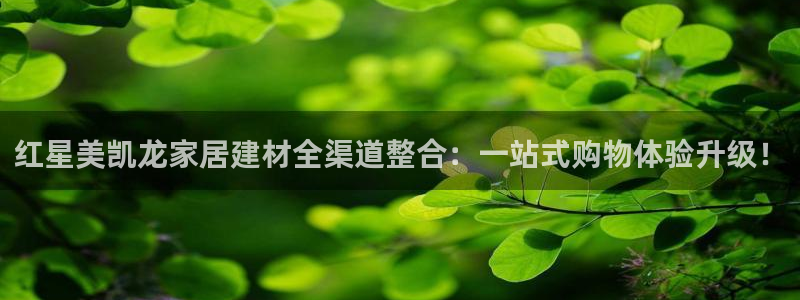 星欧娱乐在线注册