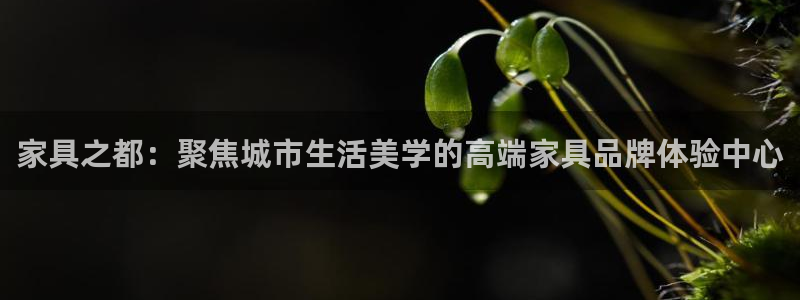 乌鲁木齐欧乐星娱乐