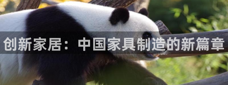 欧星娱乐网站多少