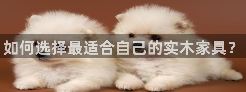 星欧娱乐经纪公司简介