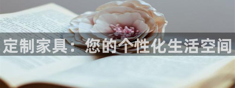 星欧娱乐公司老板背景