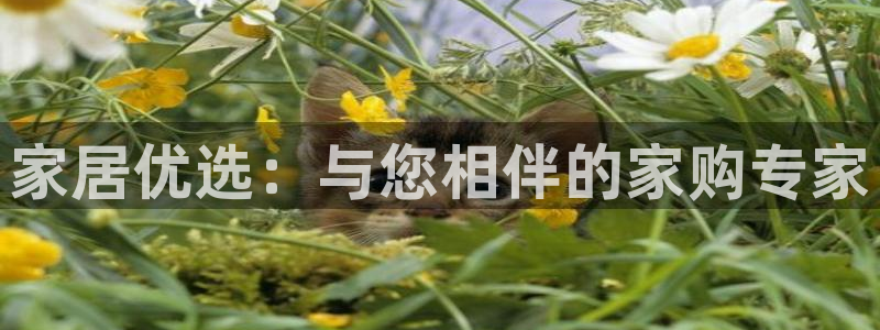 星欧娱乐老版本下载