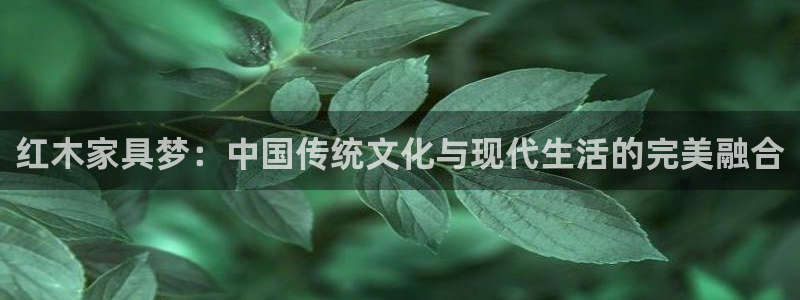 星欧娱乐官方网站首页