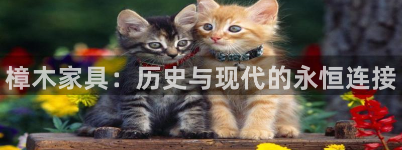 星欧娱乐官方网站