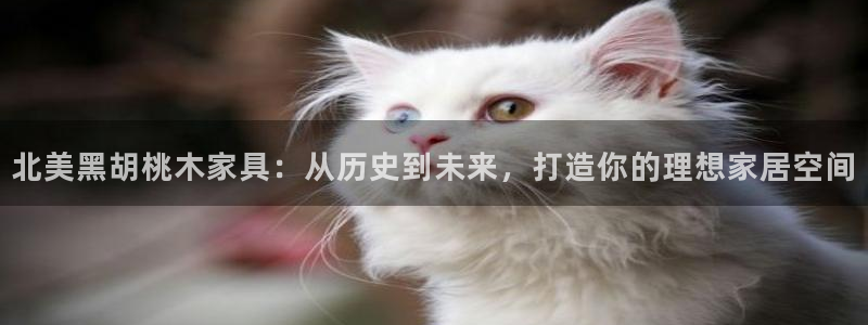 娱乐星扒客欧豪