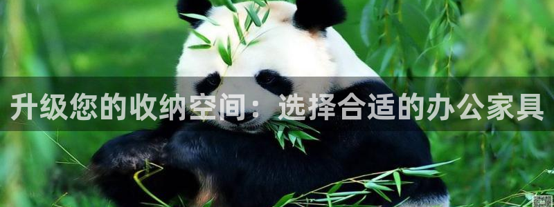 欧星科技娱乐公司