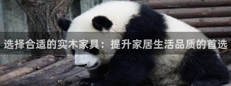 星辉娱乐欧联杯转播